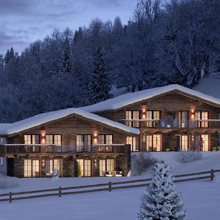 Chalet Tauernlodge Eben D1